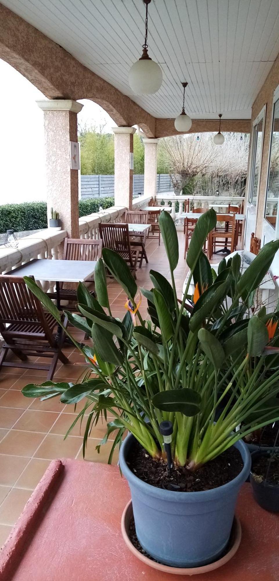 Le Grand Jardin Hotel Aujargues Kültér fotó